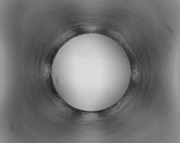 X0000114490476200911091052