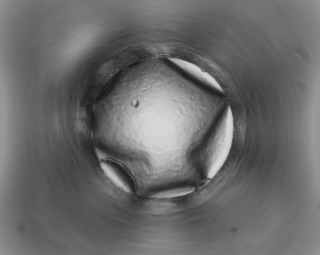 X0000114490477200911091052