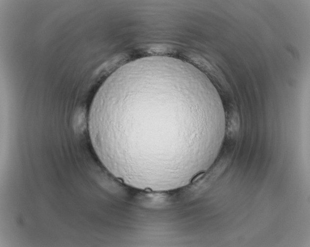 X0000114490478200911091052