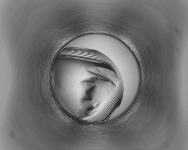 X0000114490481200911091052