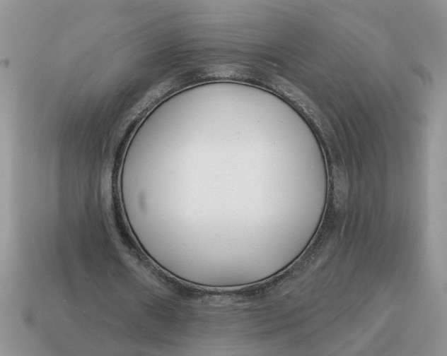 X0000114490482200911091052