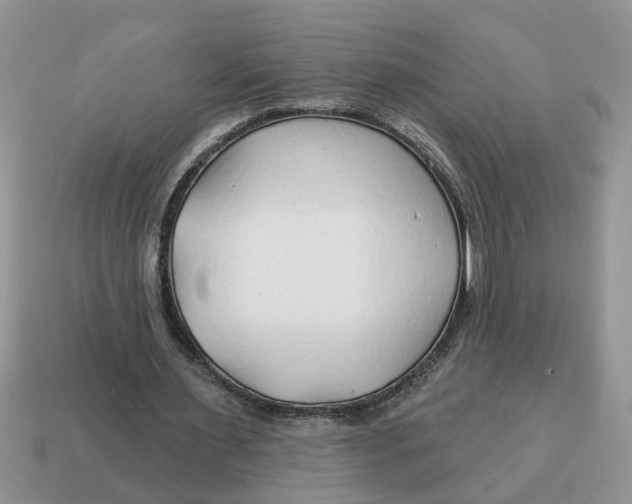 X0000114490483200911091052