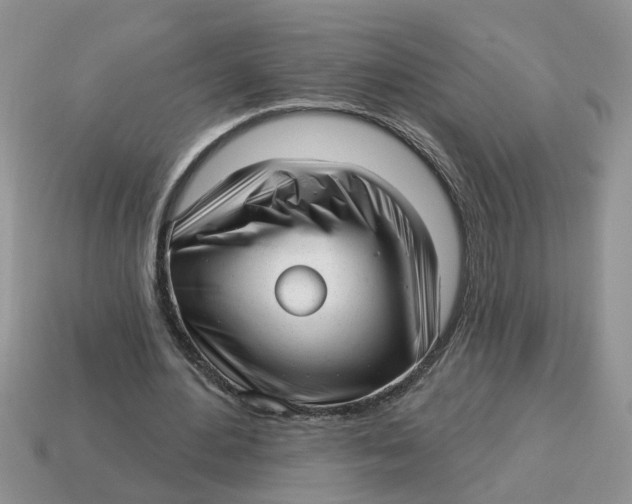 X0000114490484200911091052