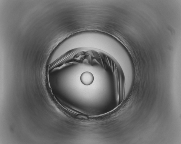 X0000114490485200911091052