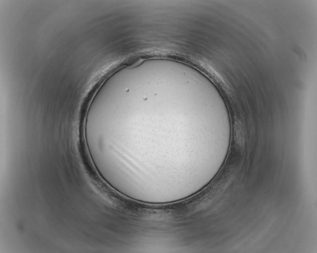 X0000114490486200911091052
