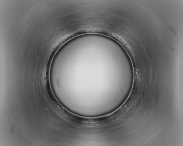 X0000114490487200911091052