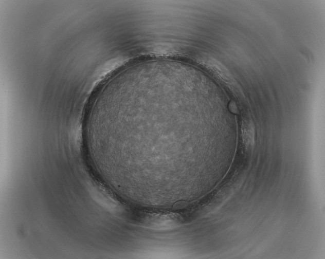 X0000114490488200911091052