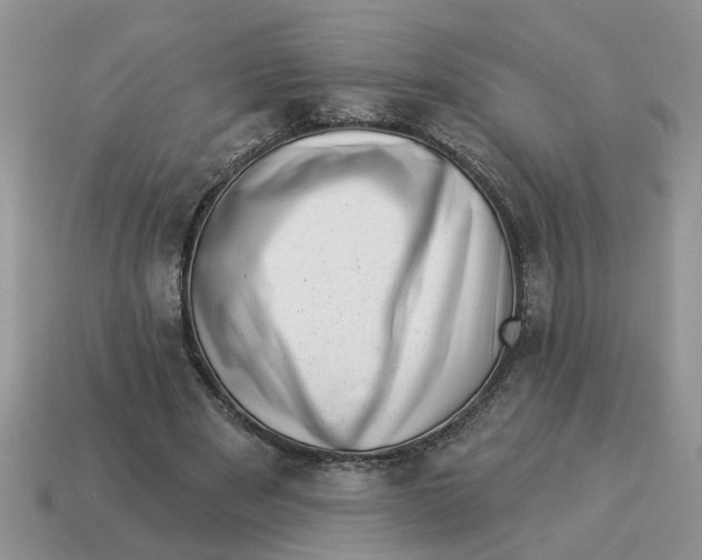 X0000114490489200911091052