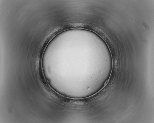 X0000114490491200911091052