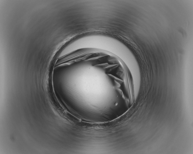 X0000114490492200911091052