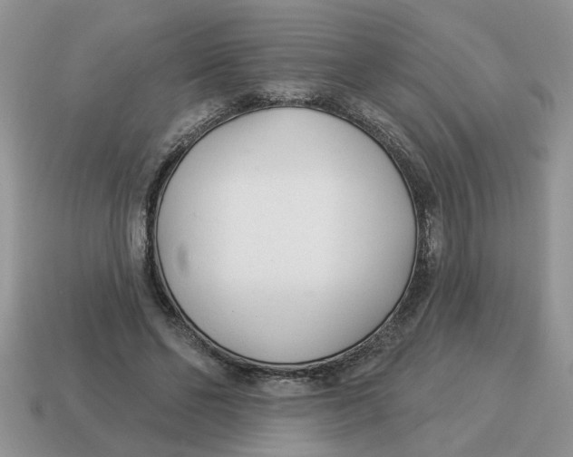 X0000114490494200911091052