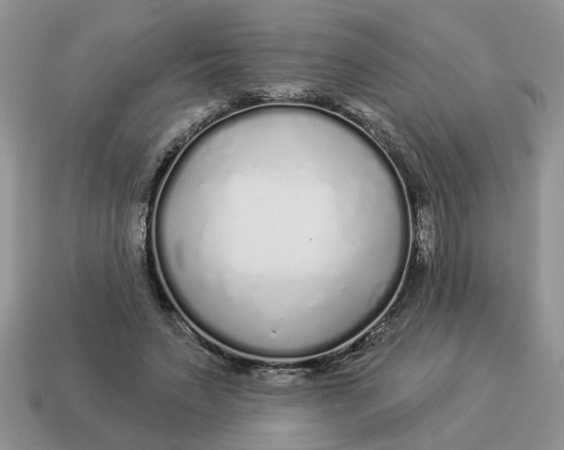 X0000114490495200911091052