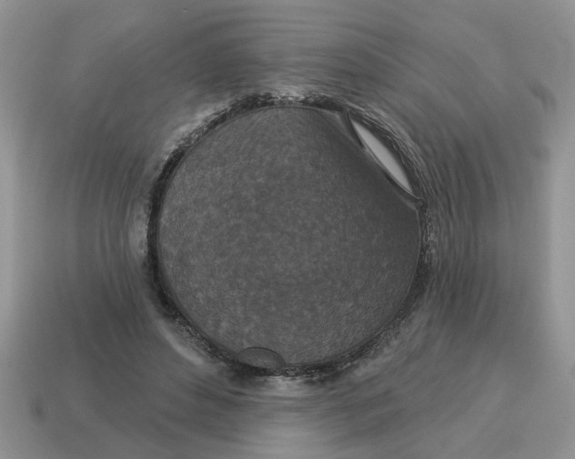 X0000114490496200911091052