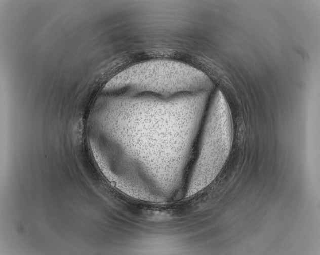 X0000114490498200911091052