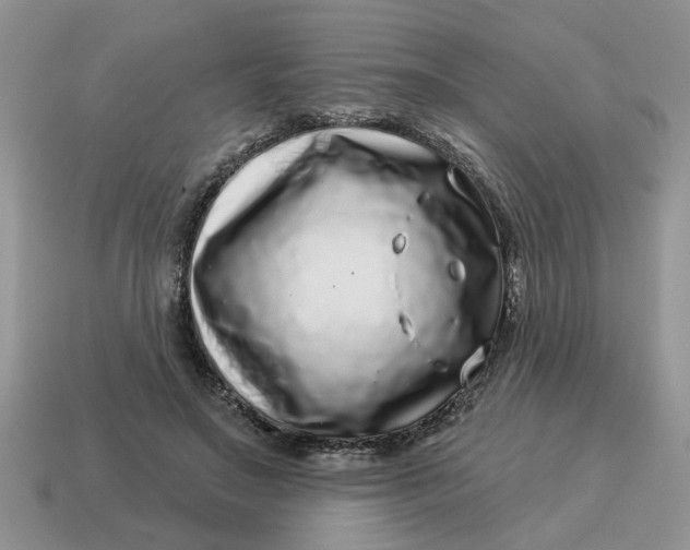 X0000114490499200911091052