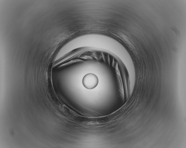 X0000114490500200911091052