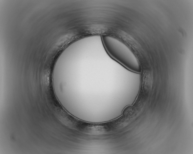 X0000114490501200911091052
