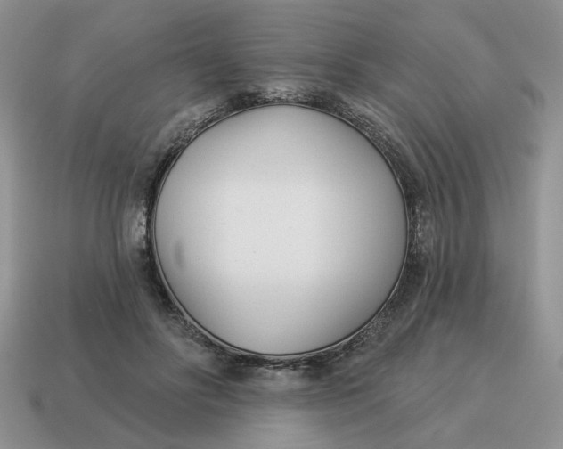 X0000114490502200911091052