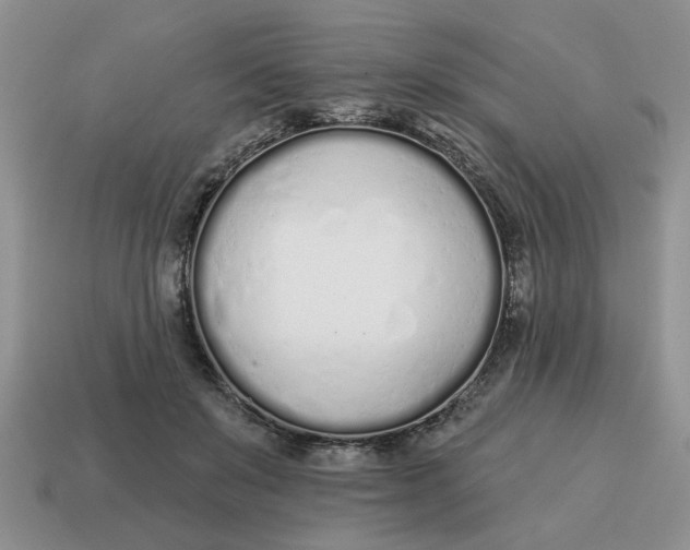 X0000114490503200911091052