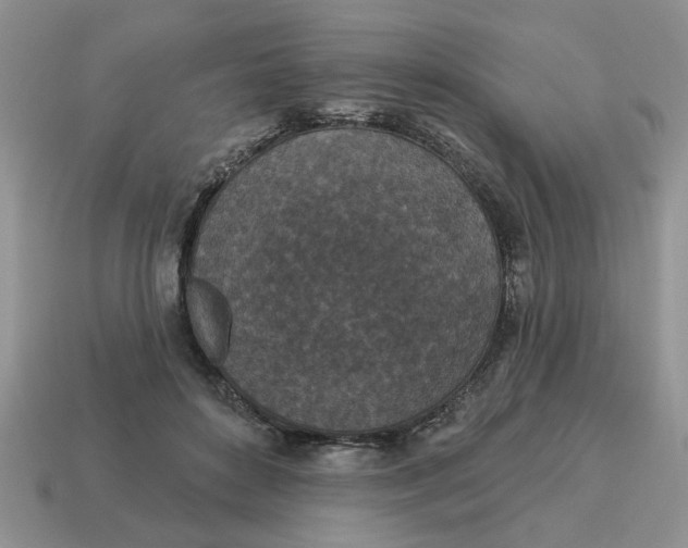 X0000114490504200911091052