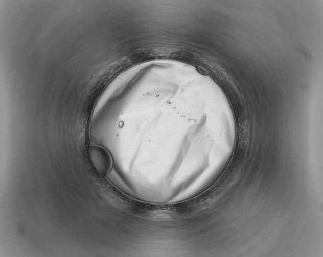 X0000114490505200911091052