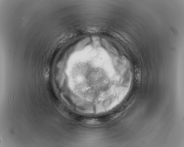 X0000114490507200911091051