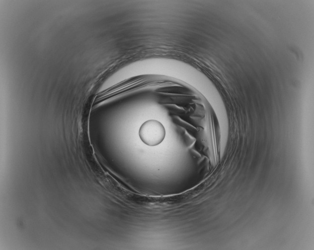 X0000114490508200911091051