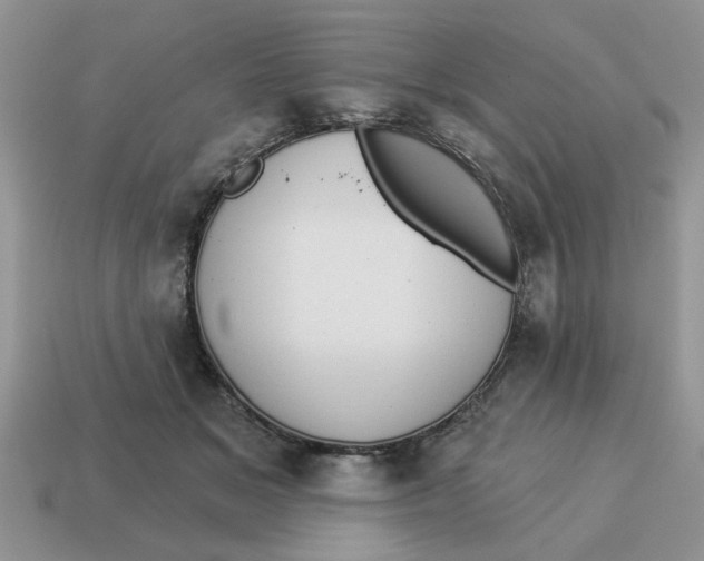 X0000114490509200911091051