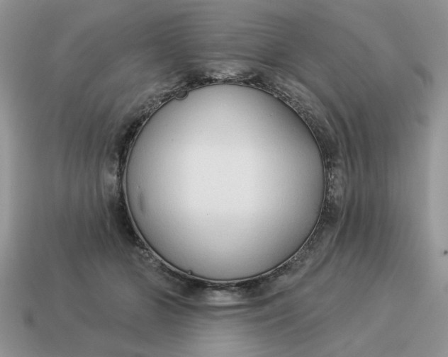 X0000114490510200911091051