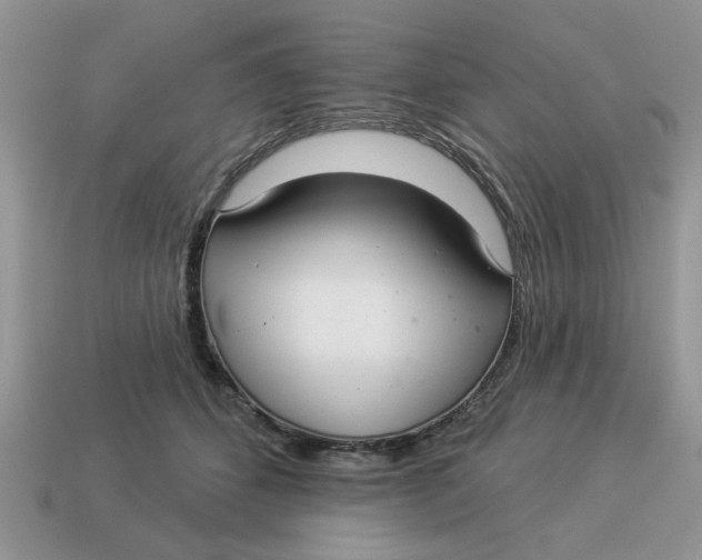 X0000114490512200911091051