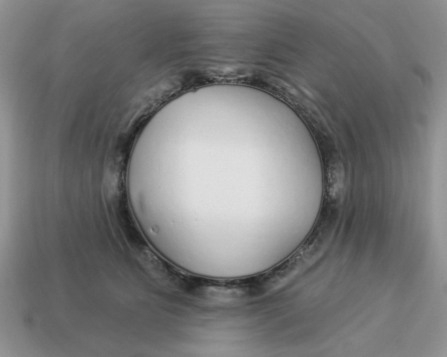 X0000114490515200911091051