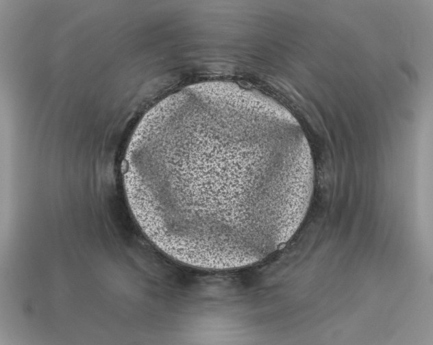 X0000114490516200911091051