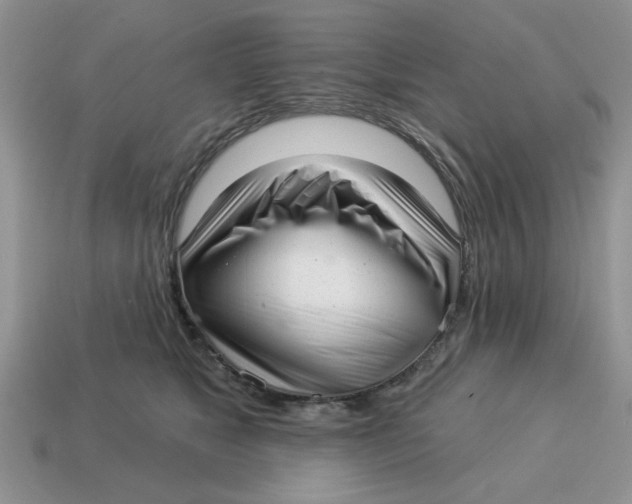 X0000114490517200911091051