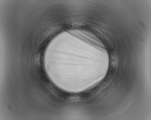 X0000114490519200911091051
