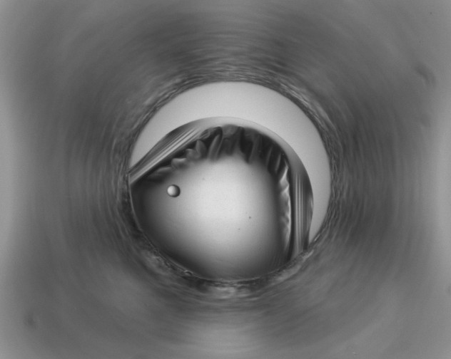X0000114490521200911091051