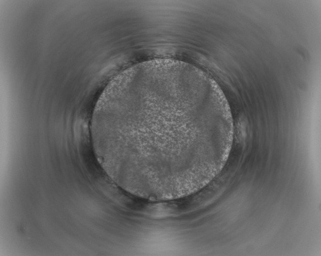 X0000114490522200911091051