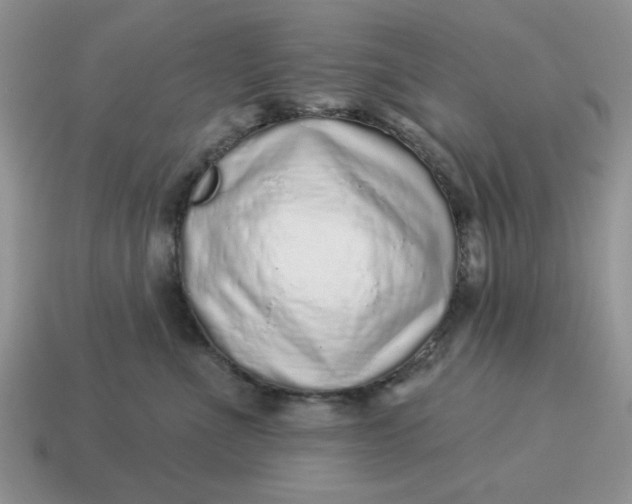X0000114490523200911091051