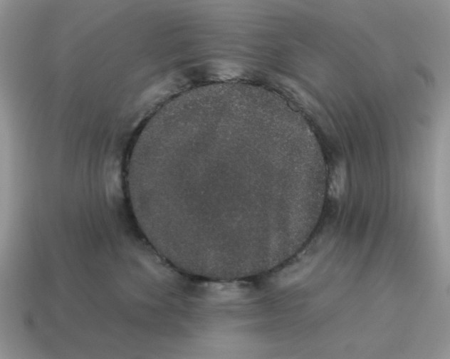 X0000114490524200911091051