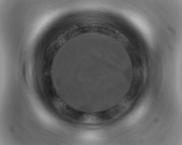 X0000114490526200911091051