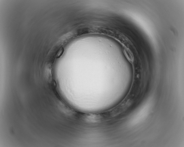 X0000114490527200911091051