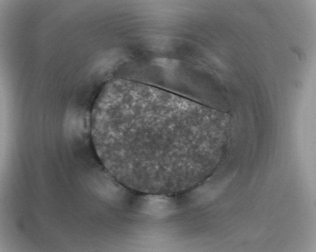 X0000114490528200911091051
