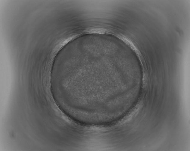 X0000114490529200911091050