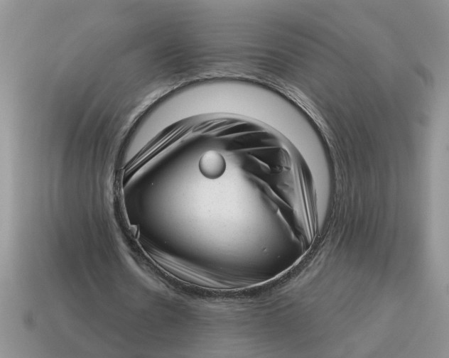 X0000114490530200911091050