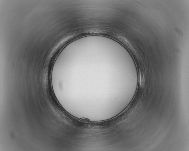 X0000114490531200911091050
