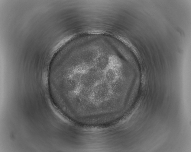X0000114490533200911091050