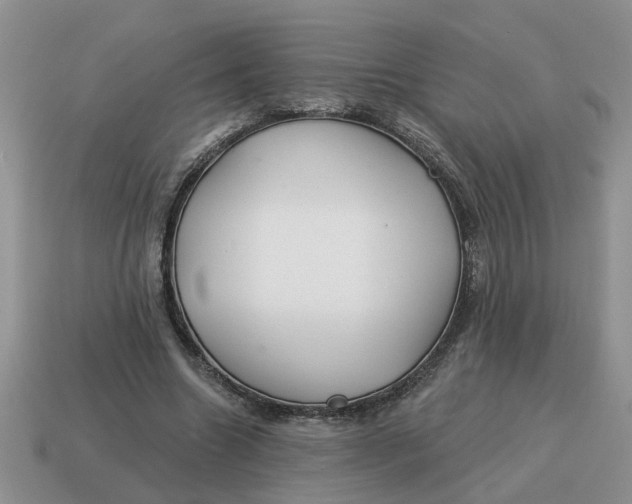 X0000114490538200911091051