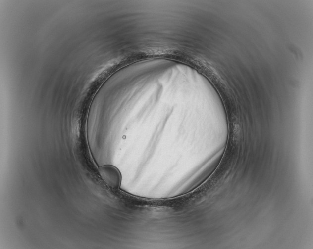 X0000114490539200911091051