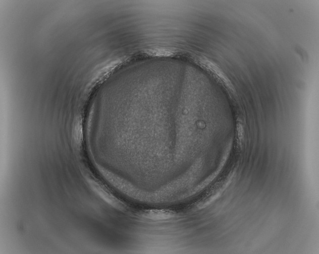 X0000114490541200911091051
