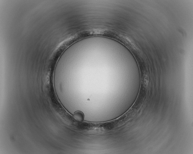 X0000114490543200911091051