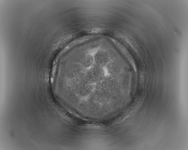 X0000114490545200911091051